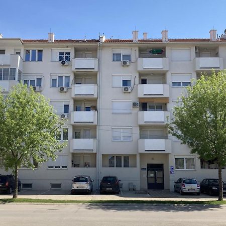 Apartman Senjak 피로트 외부 사진